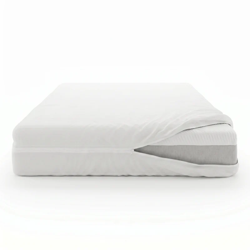 Ensemble Original Protection