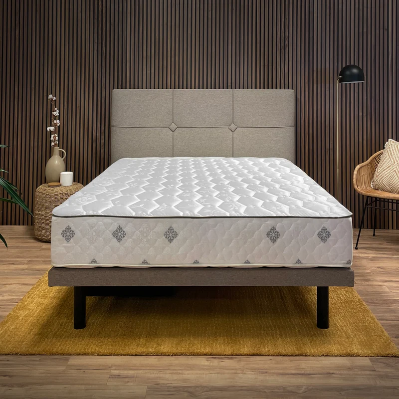 RV MATTRESS Economic