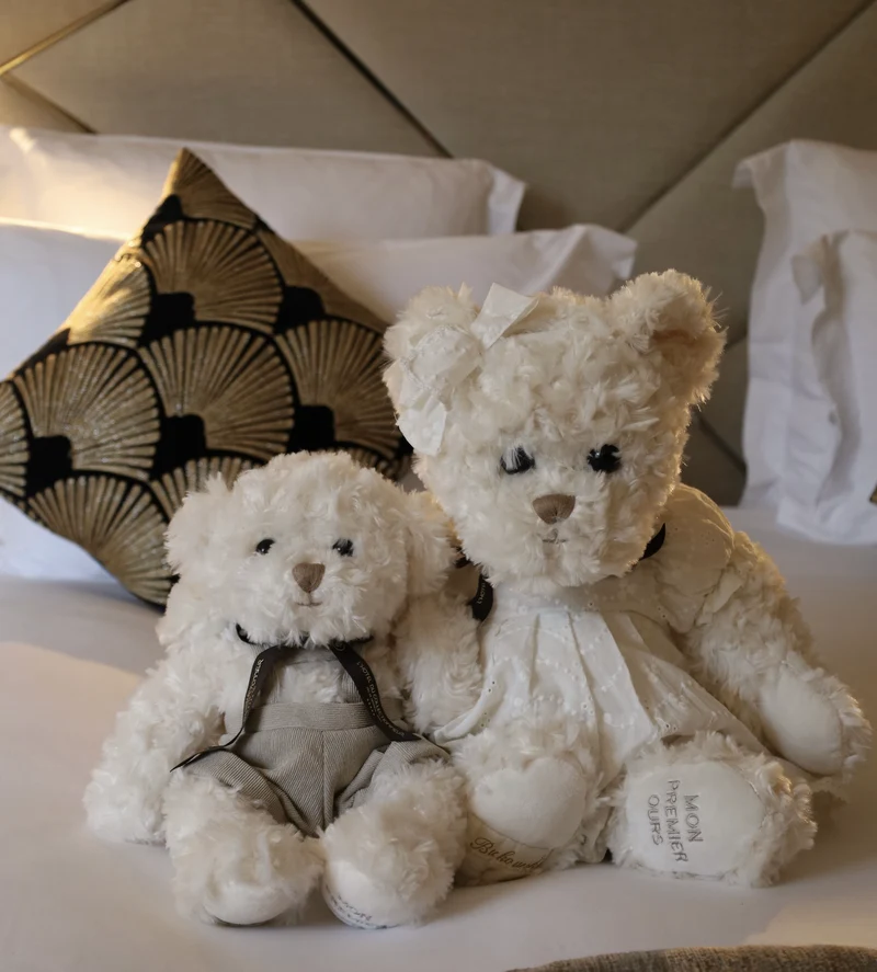 Grande peluche ours du Collectionneur