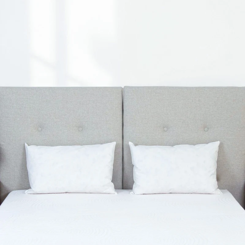 Oreiller Plumes et duvet NATURA