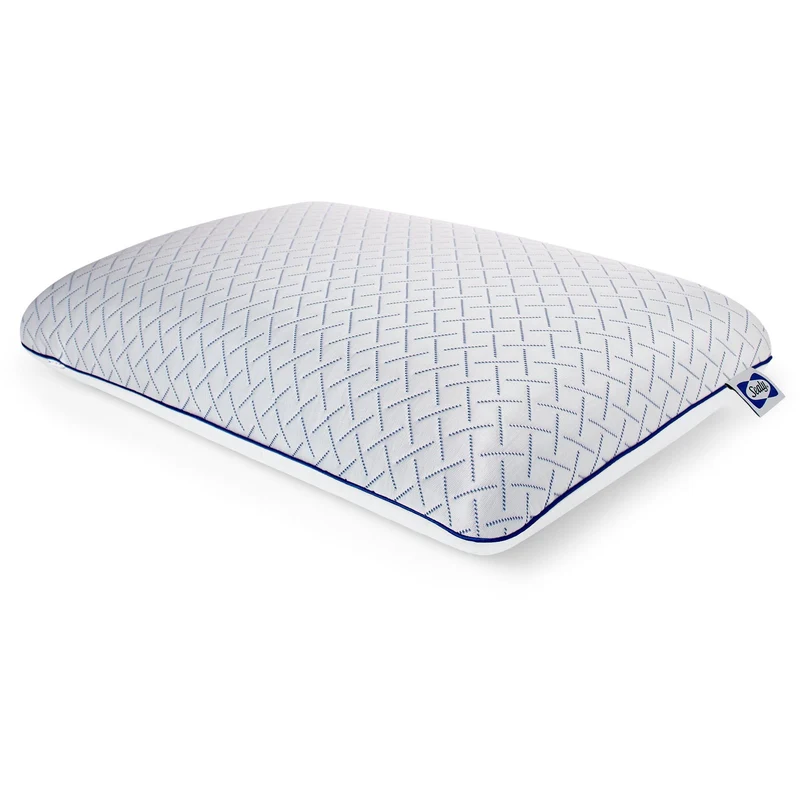 Sealy Oreiller Essentiels Oreiller de lit en mousse mémoire