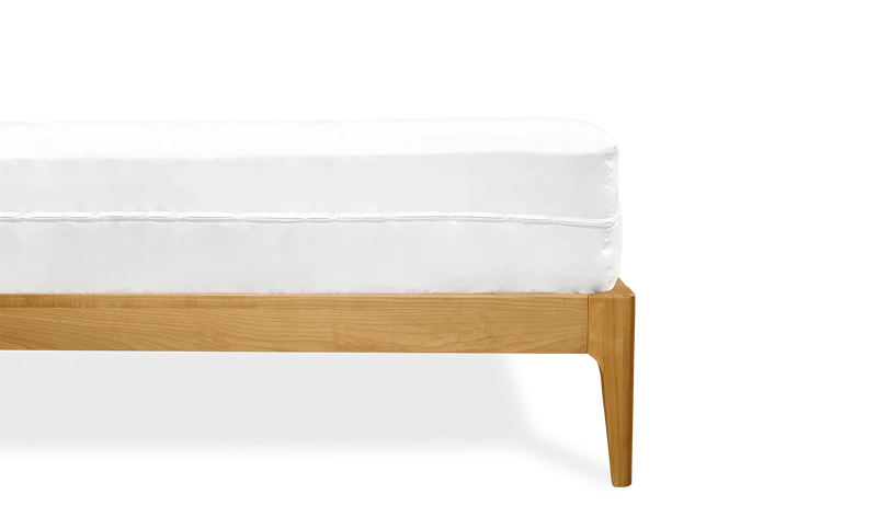 Housse intégrale Anti-punaise imperméable