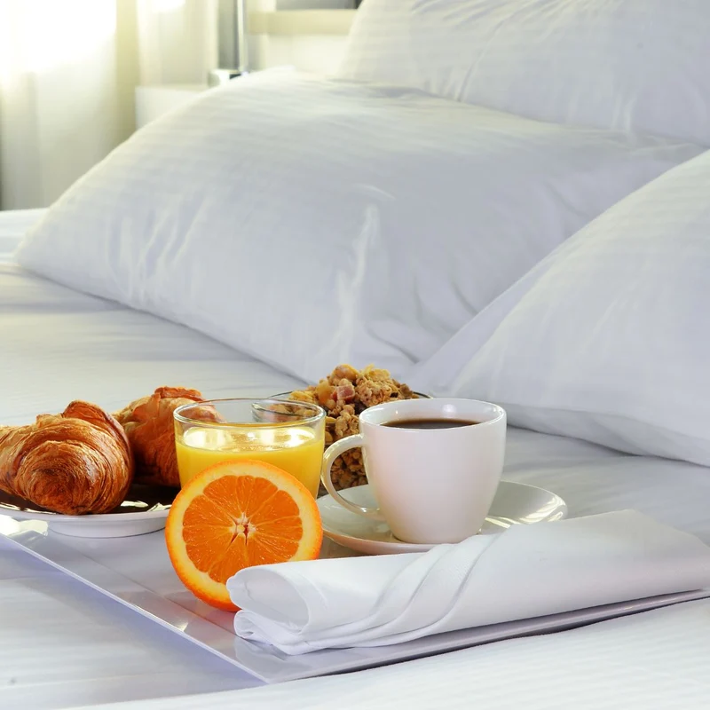 Oreiller sensation duvet gamme hôtelière