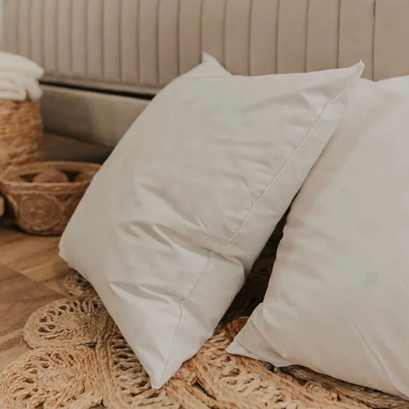 Oreiller grand palace duvet et plumes